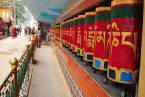 Mcleodganj Excursion